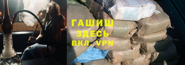 индика Баксан